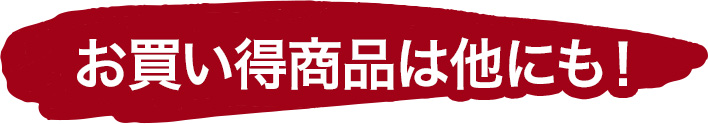 お買い得商品は他にも！