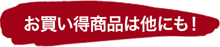 お買い得商品は他にも！